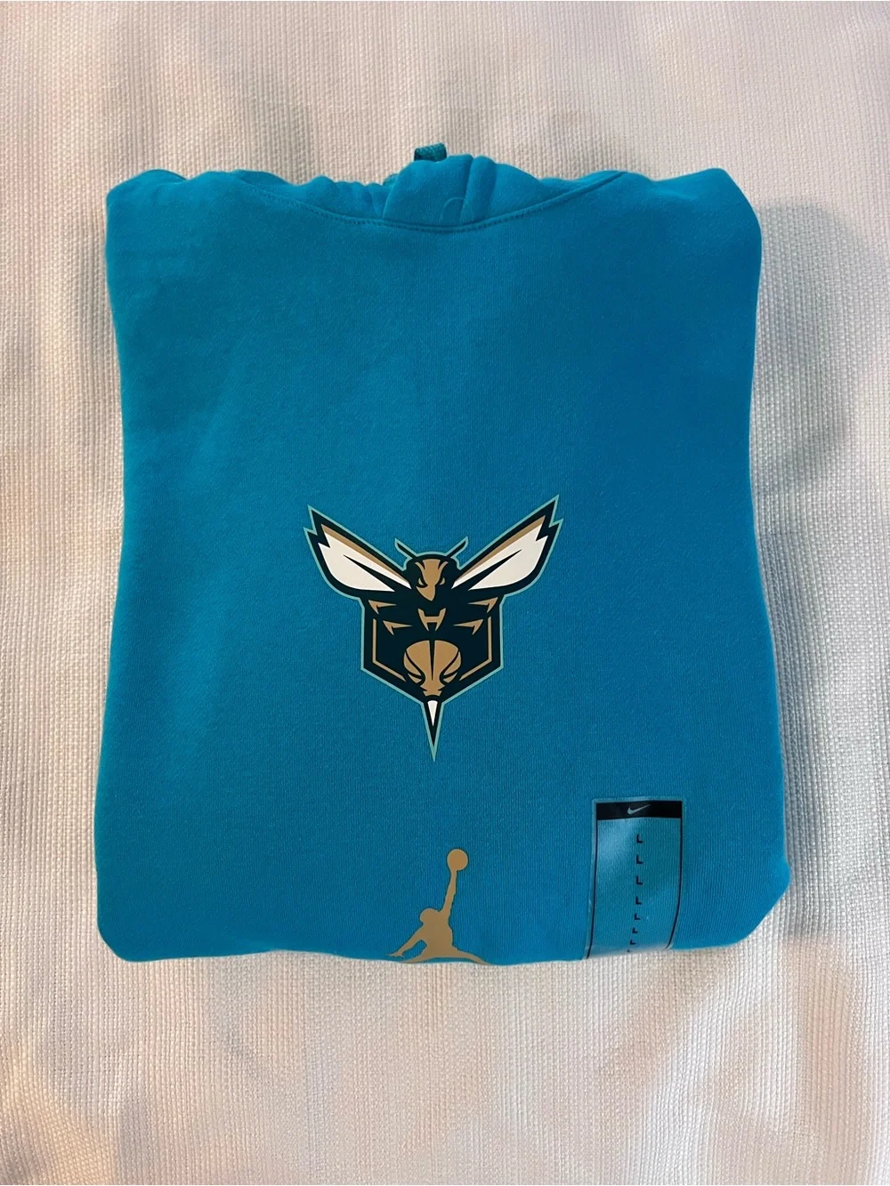Jordan Men's 2023-24 City Edition Charlotte Hornets Club Pullover Hoodie Large